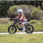 EU-STACYC 18V 16HDRIVE - BLACK