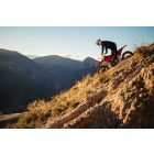 STARK VARG EX ALPHA RED